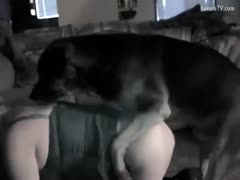 Adult zoophilia ZeusPorn: When the mother plays with the dog, he ends up screwing her.